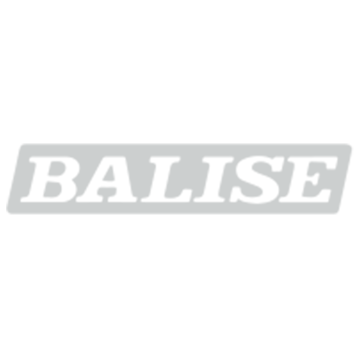 Balise logo