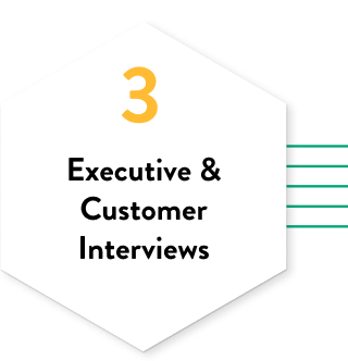 EXECUTIVE & CUSTOMER INTERVIEWS