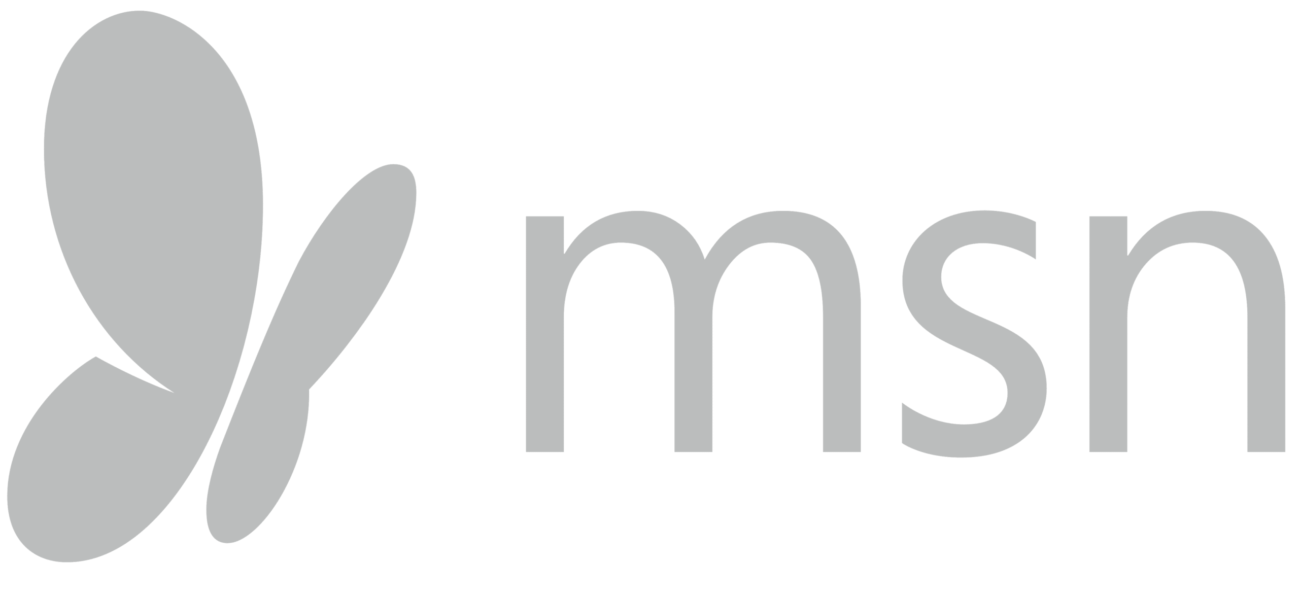 MSN Logo