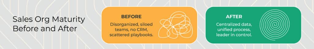 Sales-Org-Maturity