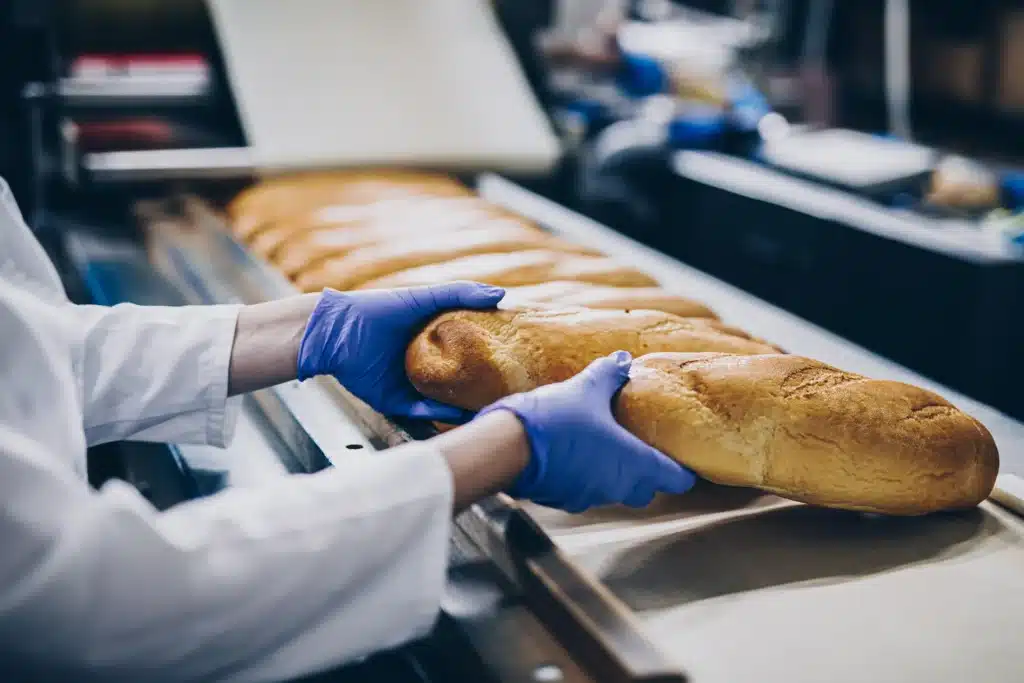 Factory worker examining bread on a conveyor belt