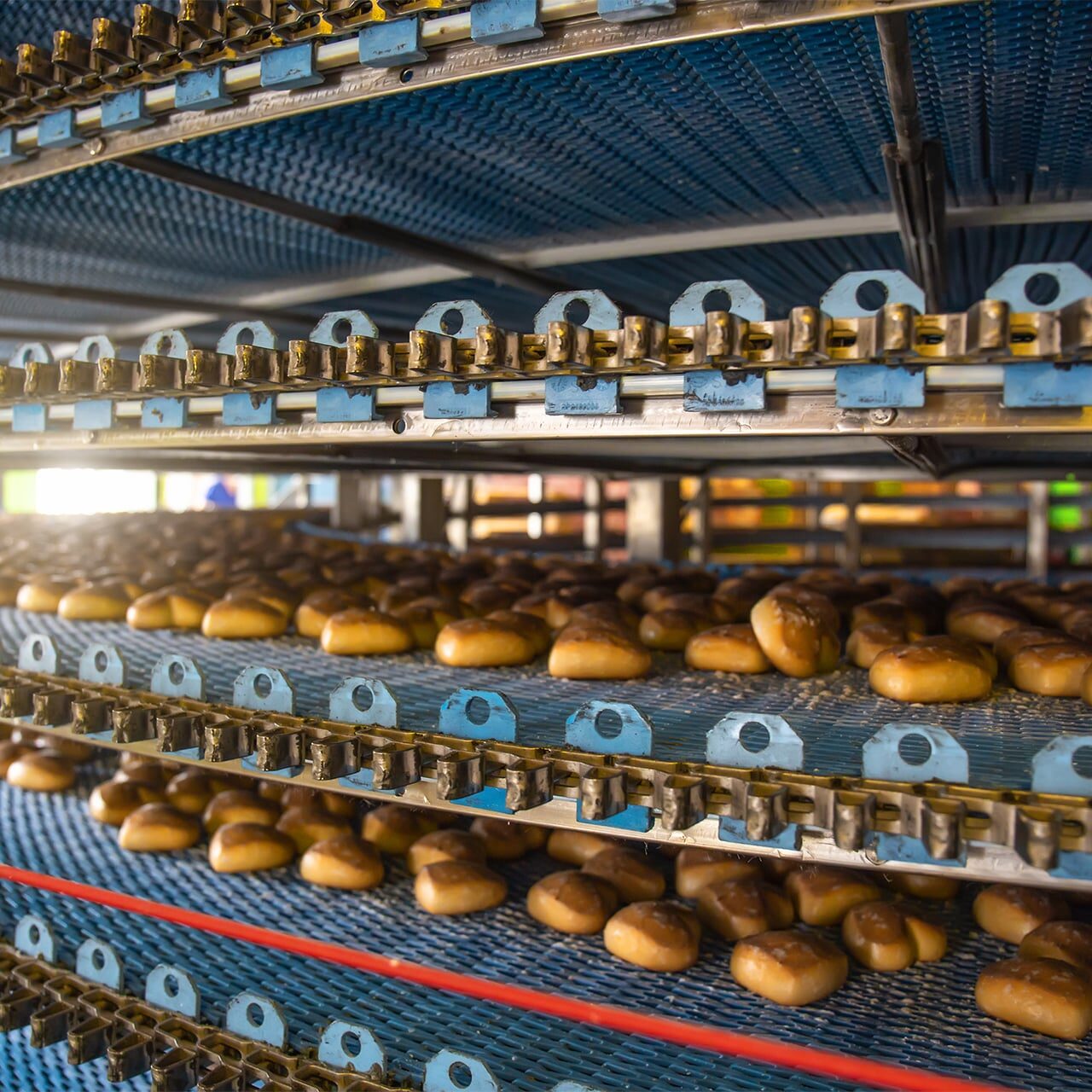 Cakes on an automated conveyor