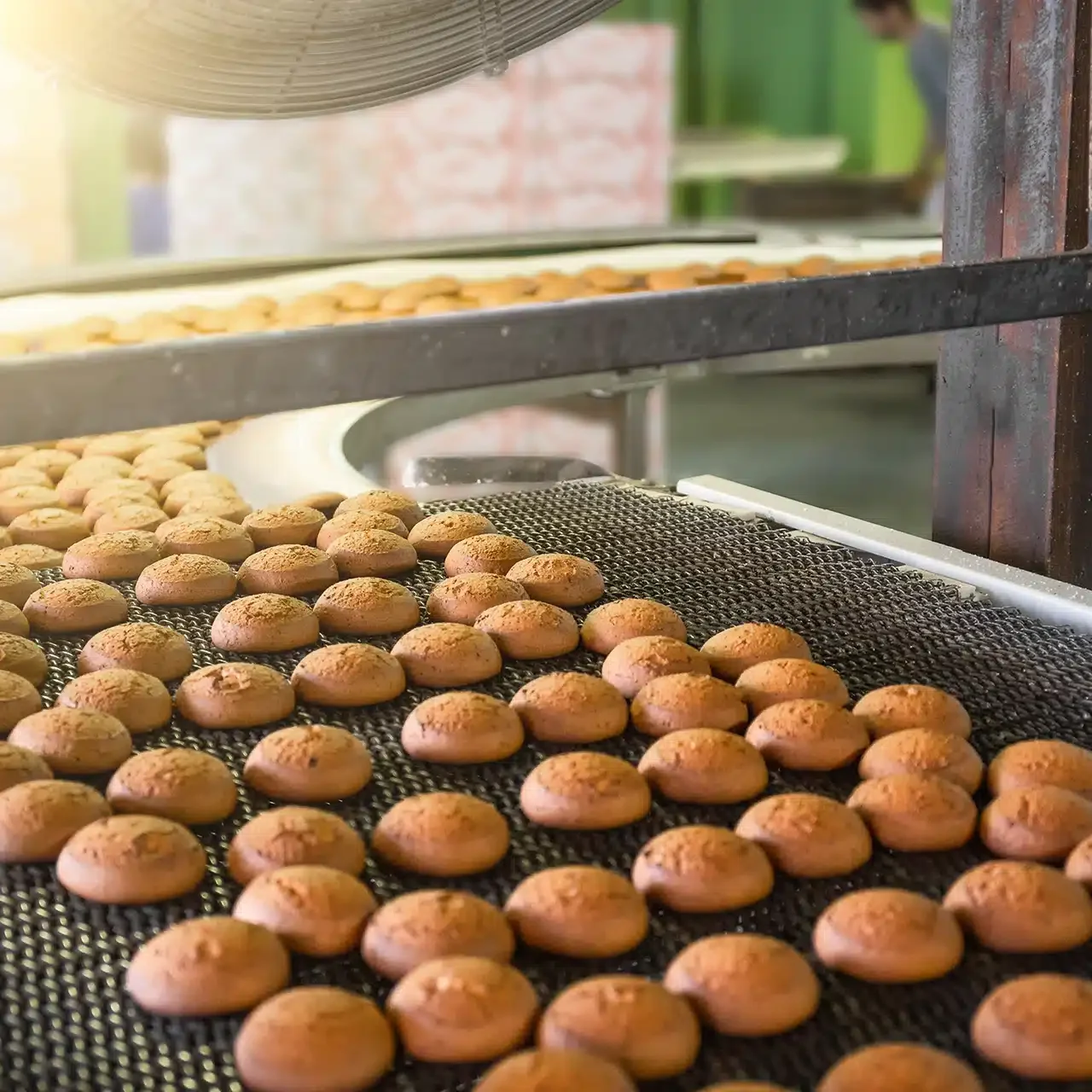 Cookies on a factory conveyor belt