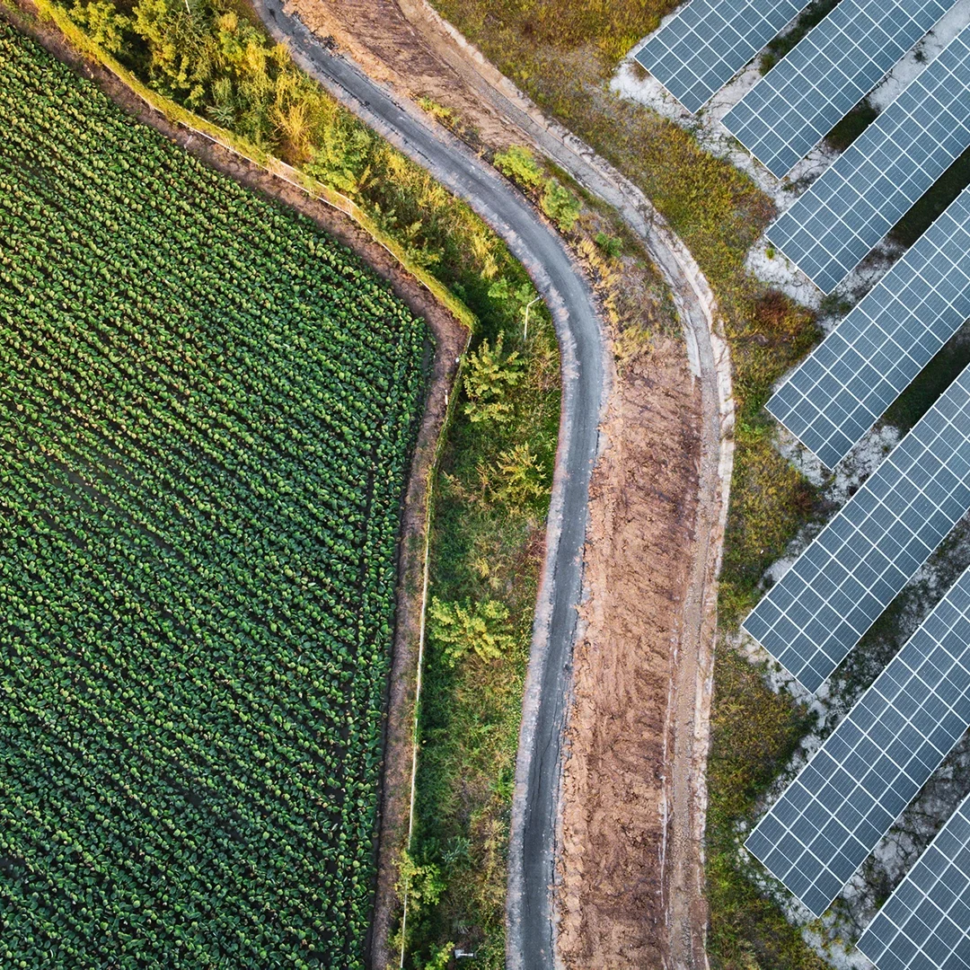 solar-panels-field solar-panels-field